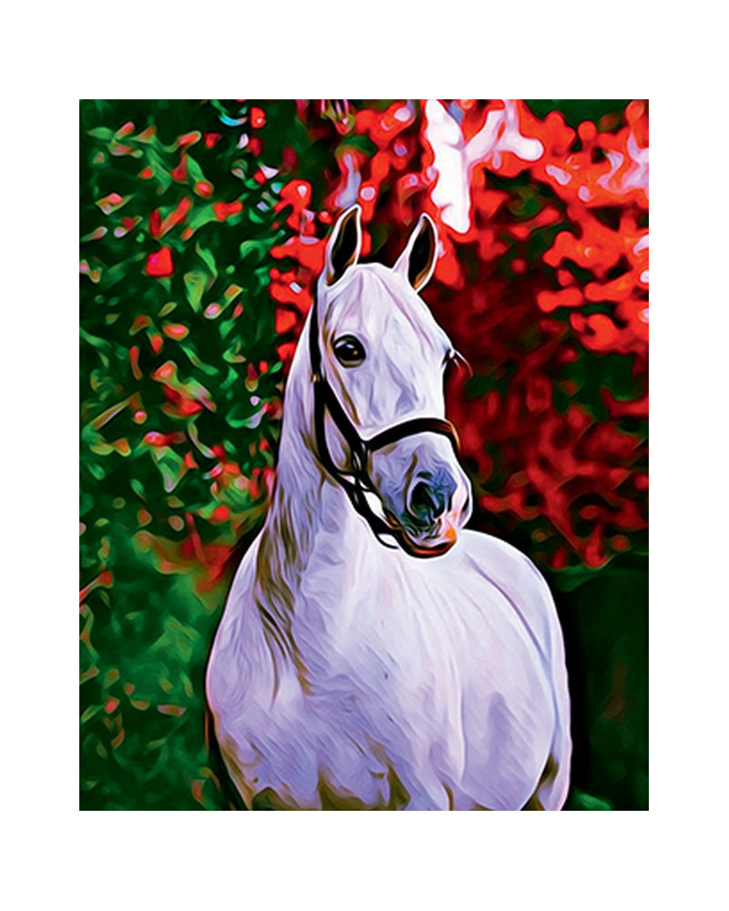 BRODERIE DIAMANT CHEVAL ET FOND COLORE