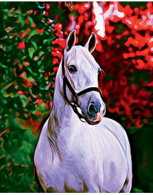 BRODERIE DIAMANT CHEVAL ET FOND COLORE