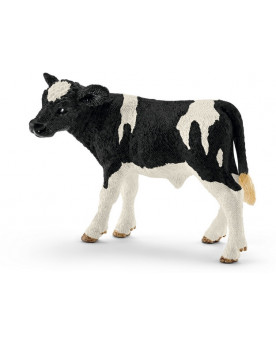 VEAU HOLSTEIN