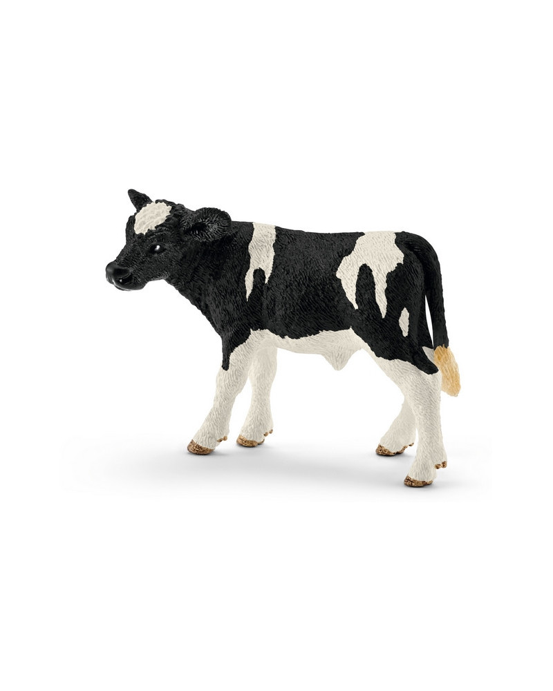 VEAU HOLSTEIN