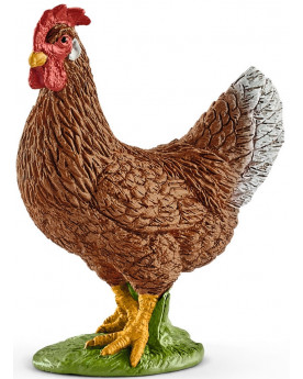 POULE