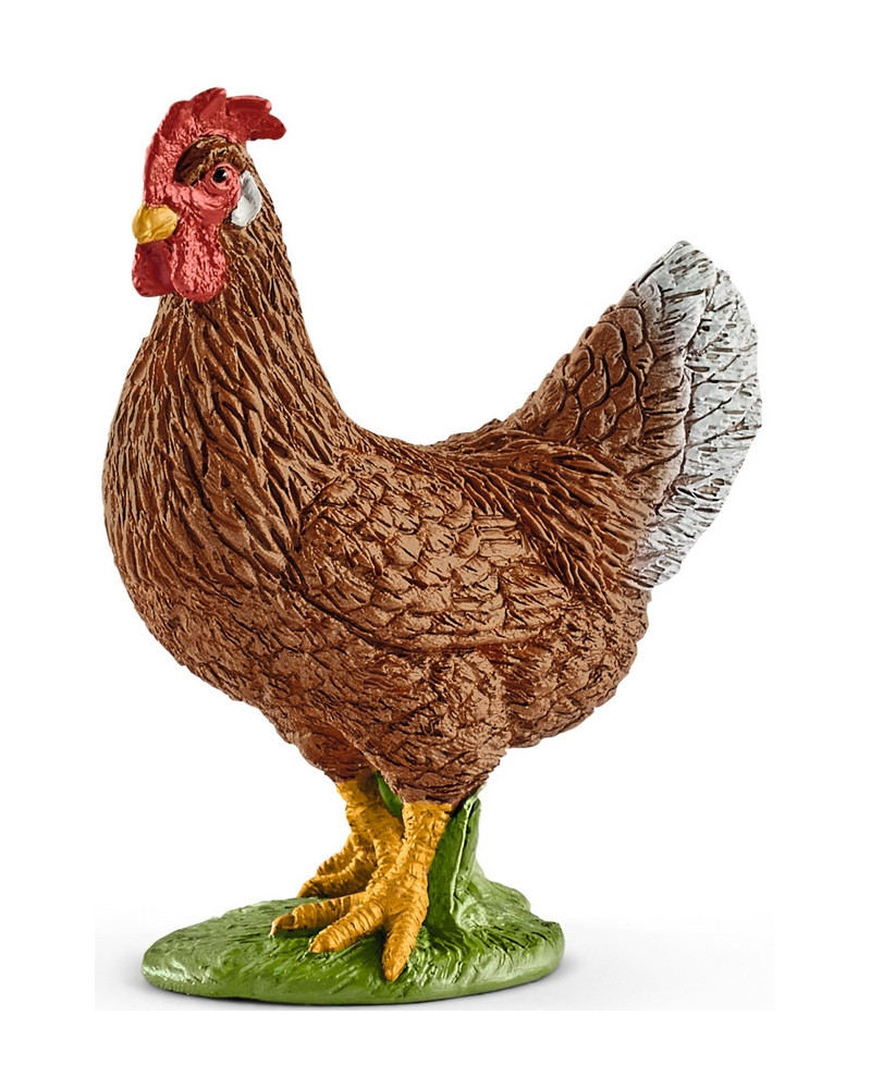 POULE