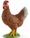 POULE
