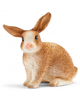 LAPIN