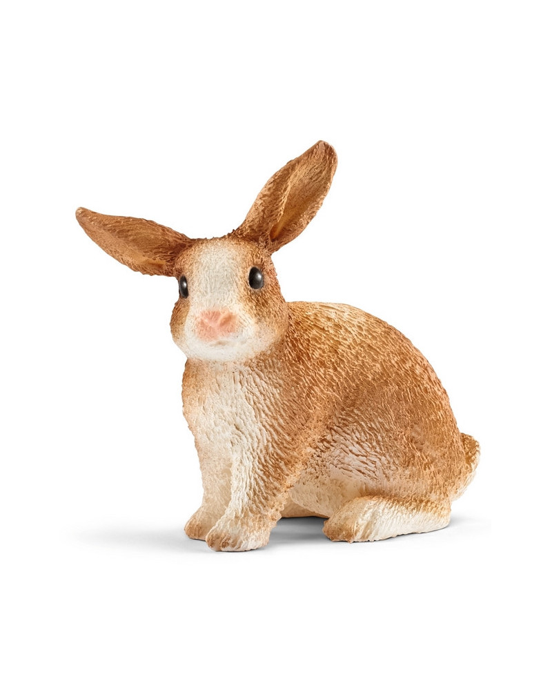 LAPIN