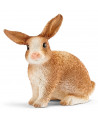 LAPIN