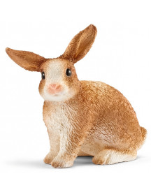 LAPIN