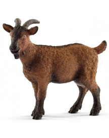 CHEVRE