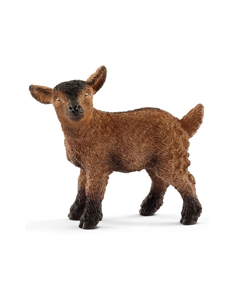 CHEVREAU