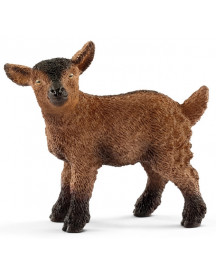 CHEVREAU