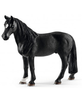 HONGRE TENNESSEE WALKER