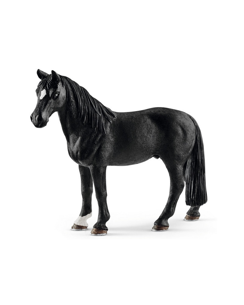 HONGRE TENNESSEE WALKER