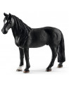 HONGRE TENNESSEE WALKER