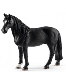 HONGRE TENNESSEE WALKER