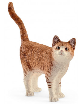 CHAT