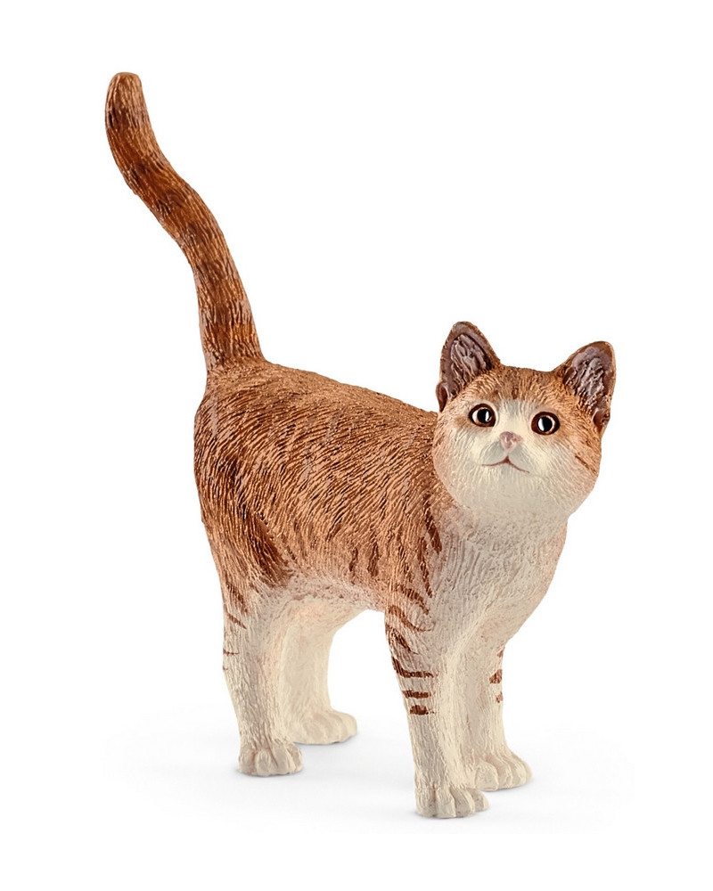 CHAT