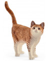 CHAT