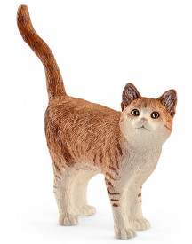 CHAT