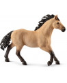 ETALON QUARTER HORSE