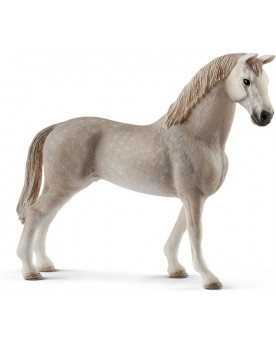 HONGRE HOLSTEIN