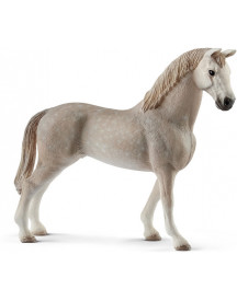 HONGRE HOLSTEIN