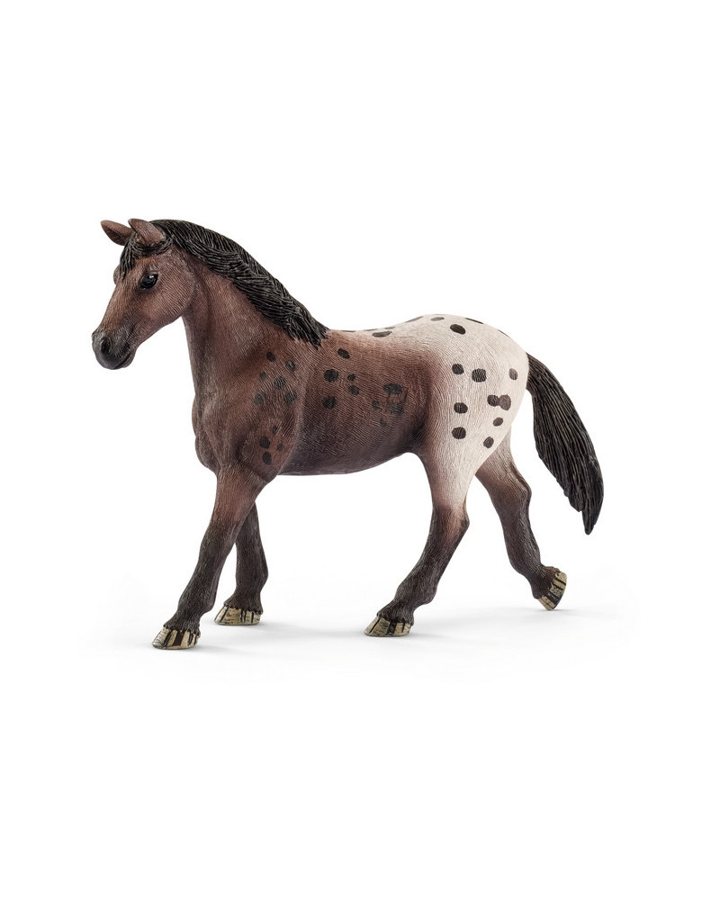 JUMENT APPALOOSA