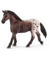 JUMENT APPALOOSA