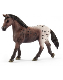 JUMENT APPALOOSA