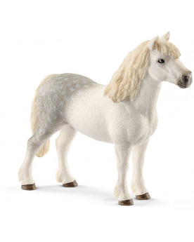 PONEY GALLOIS MALE