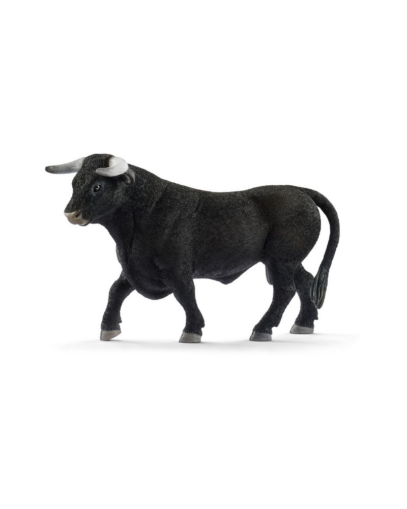 TAUREAU NOIR