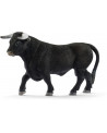 TAUREAU NOIR