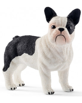 BOULEDOGUE FRANÇAIS