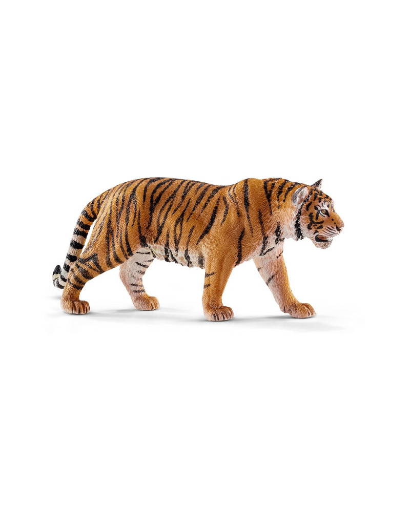 TIGRE DU BENGALE
