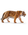 TIGRE DU BENGALE