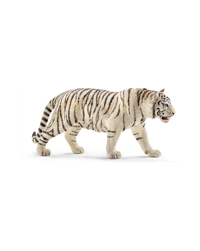TIGRE BLANC