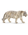 TIGRE BLANC