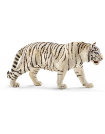 TIGRE BLANC