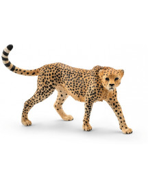 GUEPARD FEMELLE