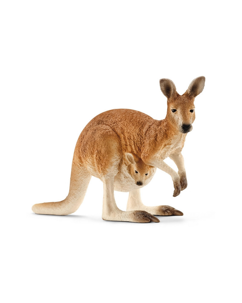 KANGOUROU