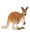 KANGOUROU