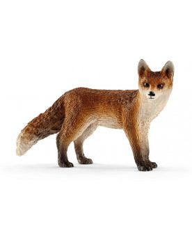 RENARD