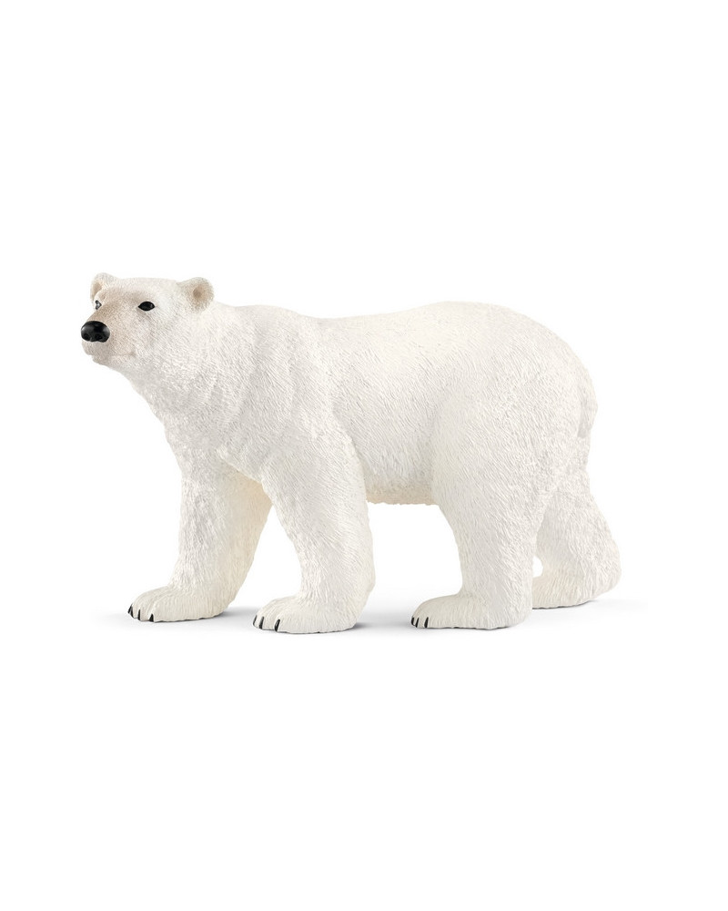 OURS POLAIRE