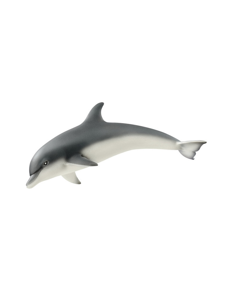 DAUPHIN