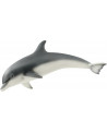 DAUPHIN