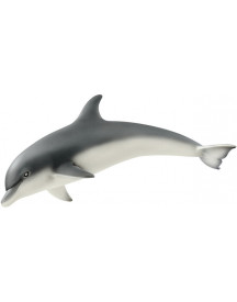 DAUPHIN