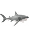 REQUIN BLANC