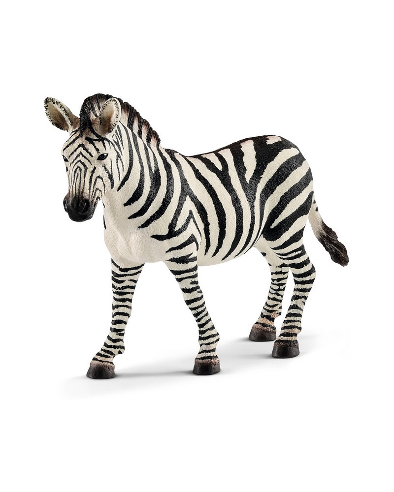 ZEBRELLE