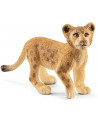 LIONCEAU