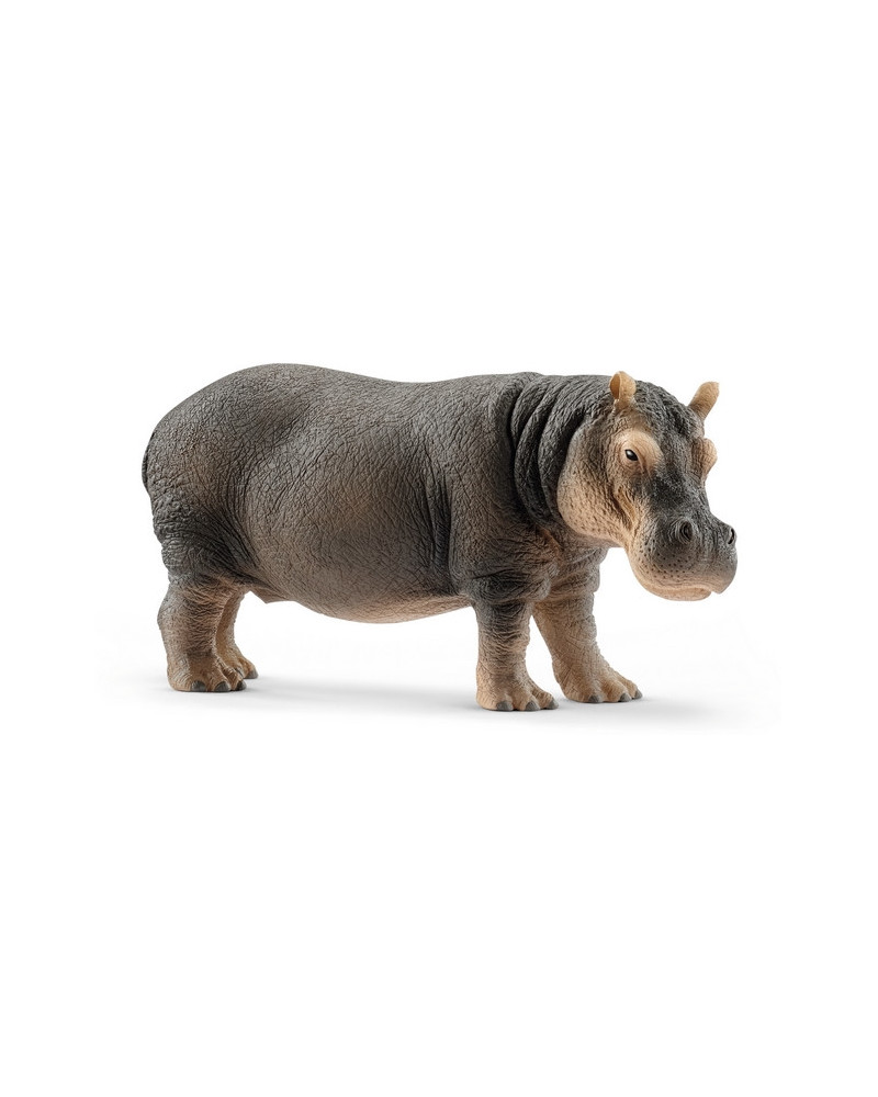 HIPPOPOTAME