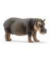 HIPPOPOTAME